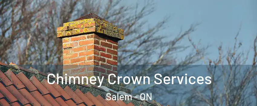  Chimney Crown Services Salem - ON