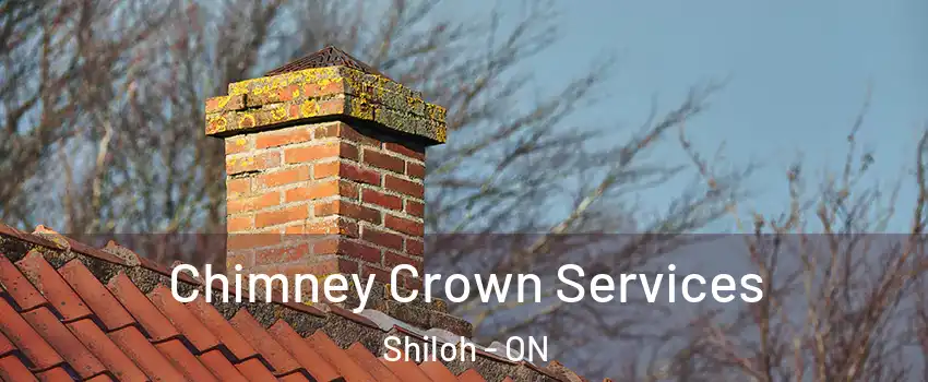  Chimney Crown Services Shiloh - ON