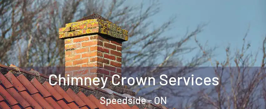  Chimney Crown Services Speedside - ON