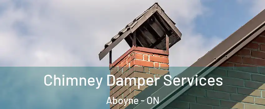  Chimney Damper Services Aboyne - ON