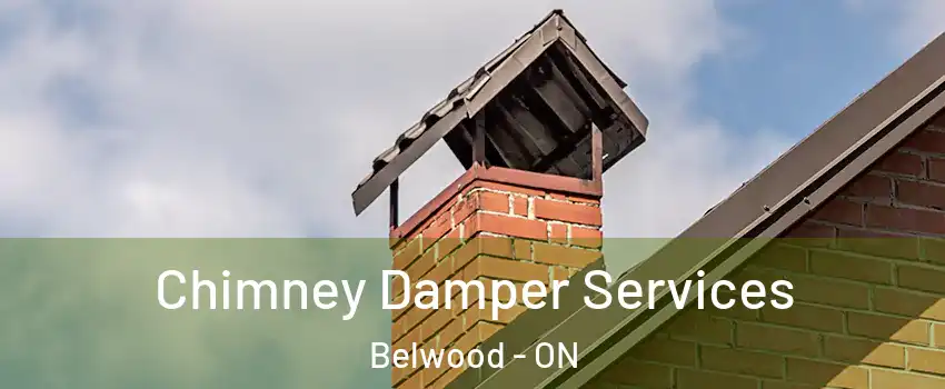  Chimney Damper Services Belwood - ON