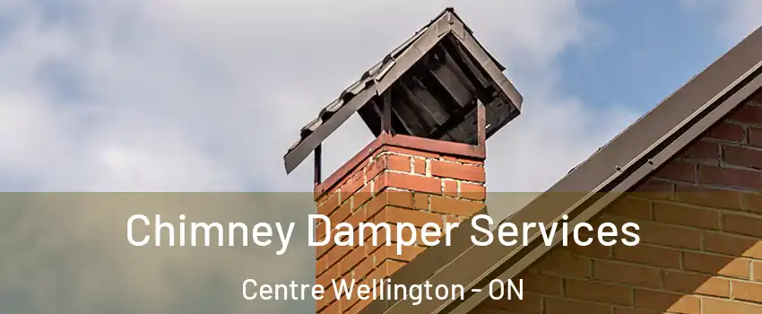  Chimney Damper Services Centre Wellington - ON