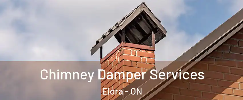  Chimney Damper Services Elora - ON