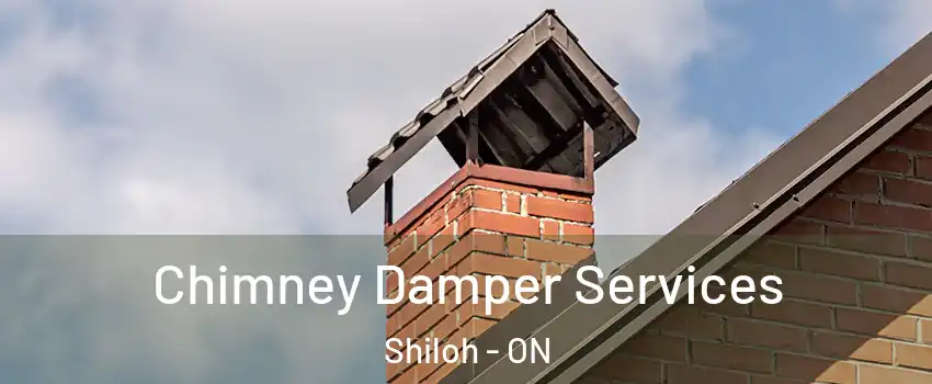 Chimney Damper Services Shiloh - ON