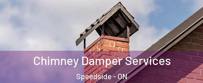  Chimney Damper Services Speedside - ON