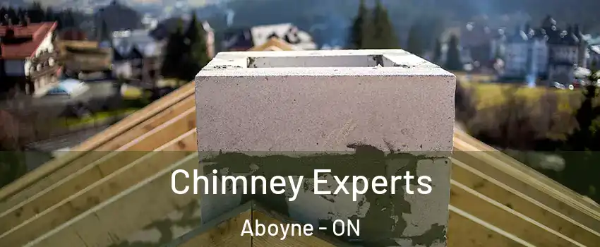Chimney Experts Aboyne - ON
