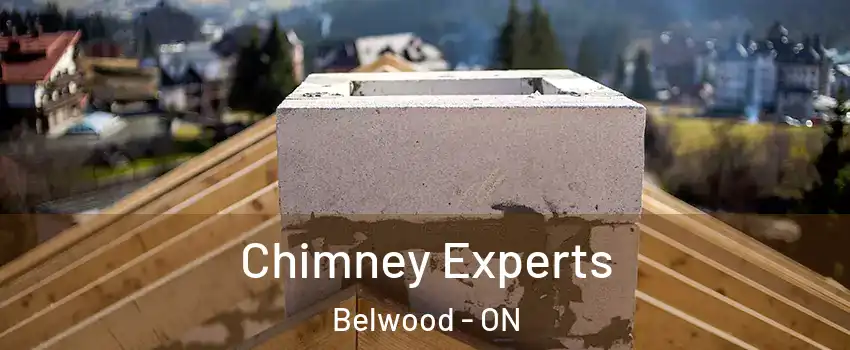  Chimney Experts Belwood - ON