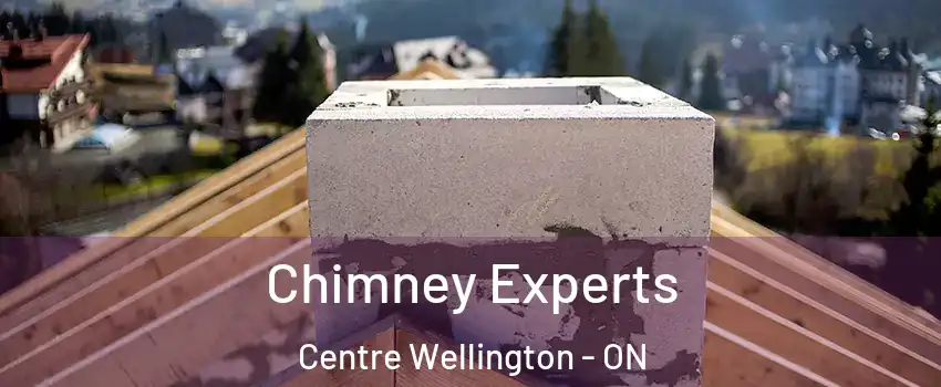  Chimney Experts Centre Wellington - ON