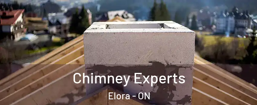  Chimney Experts Elora - ON