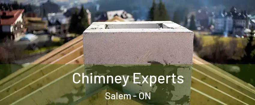  Chimney Experts Salem - ON