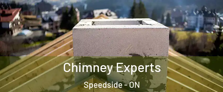  Chimney Experts Speedside - ON