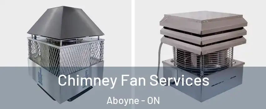  Chimney Fan Services Aboyne - ON
