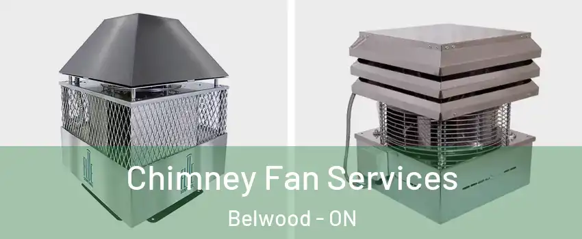  Chimney Fan Services Belwood - ON