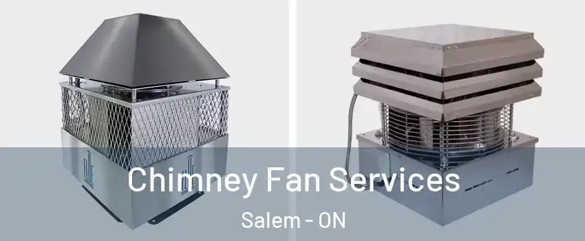  Chimney Fan Services Salem - ON
