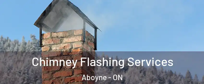  Chimney Flashing Services Aboyne - ON