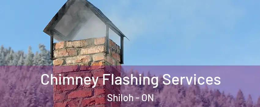  Chimney Flashing Services Shiloh - ON