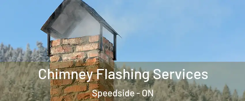  Chimney Flashing Services Speedside - ON