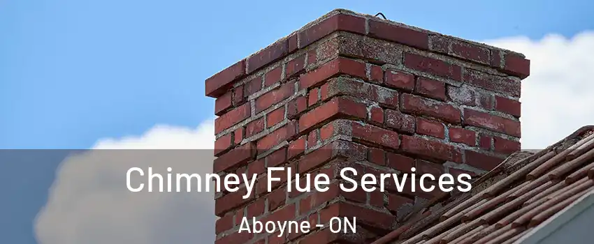  Chimney Flue Services Aboyne - ON