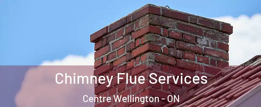  Chimney Flue Services Centre Wellington - ON