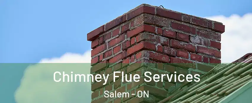  Chimney Flue Services Salem - ON