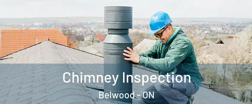  Chimney Inspection Belwood - ON