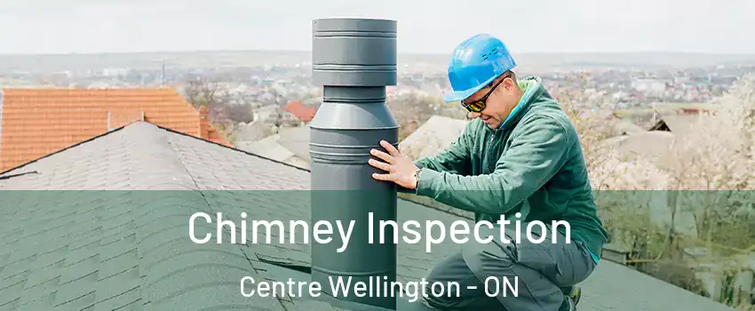  Chimney Inspection Centre Wellington - ON