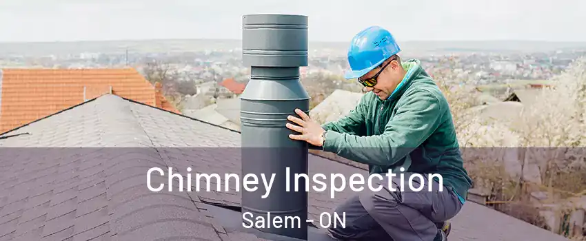 Chimney Inspection Salem - ON