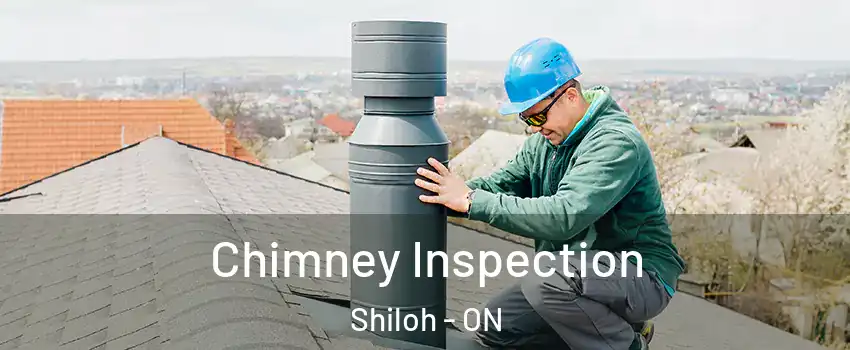  Chimney Inspection Shiloh - ON