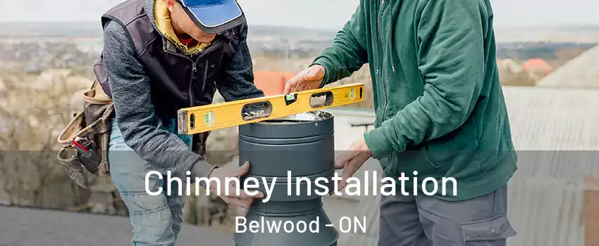  Chimney Installation Belwood - ON