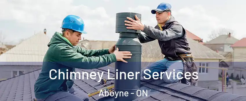  Chimney Liner Services Aboyne - ON