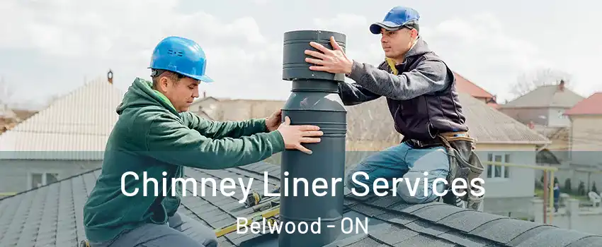  Chimney Liner Services Belwood - ON