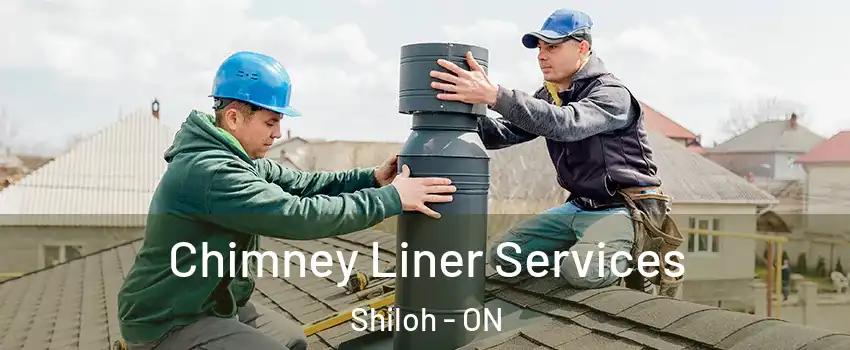 Chimney Liner Services Shiloh - ON
