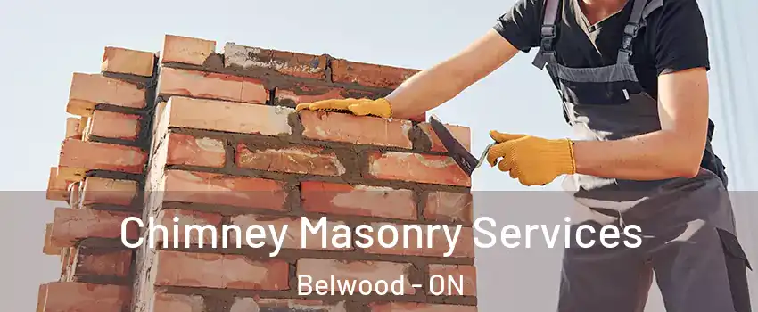  Chimney Masonry Services Belwood - ON
