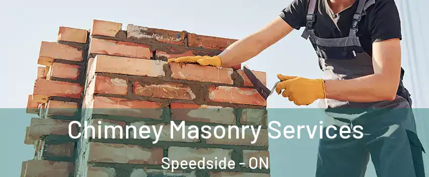  Chimney Masonry Services Speedside - ON