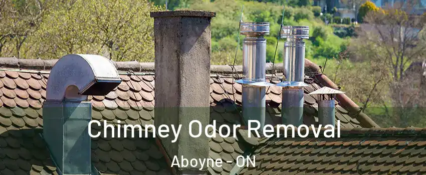  Chimney Odor Removal Aboyne - ON