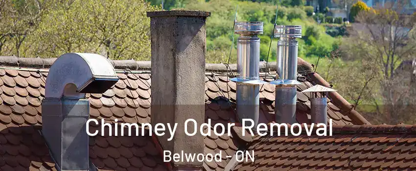  Chimney Odor Removal Belwood - ON