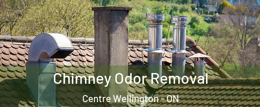  Chimney Odor Removal Centre Wellington - ON