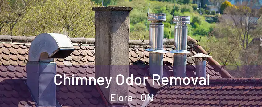  Chimney Odor Removal Elora - ON