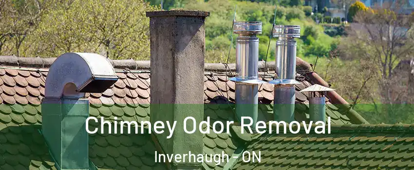  Chimney Odor Removal Inverhaugh - ON