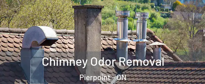 Chimney Odor Removal Pierpoint - ON