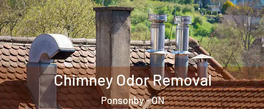  Chimney Odor Removal Ponsonby - ON