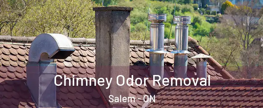  Chimney Odor Removal Salem - ON