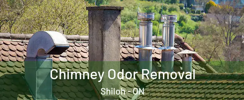  Chimney Odor Removal Shiloh - ON