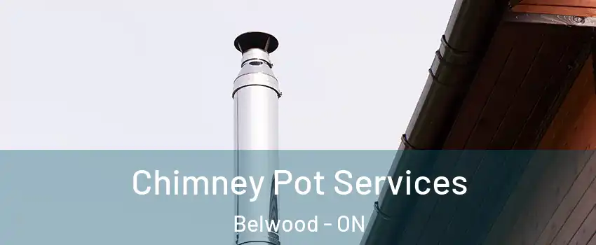  Chimney Pot Services Belwood - ON