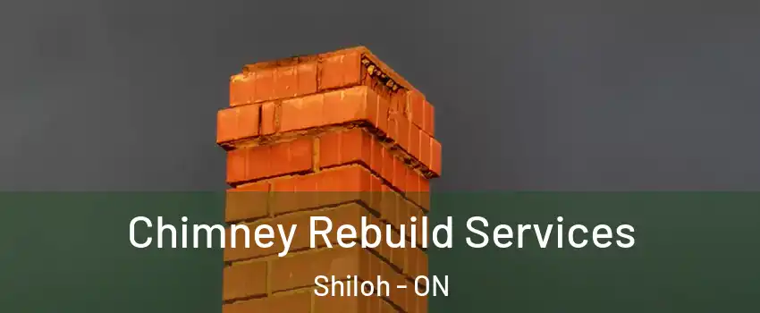  Chimney Rebuild Services Shiloh - ON