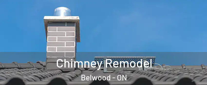  Chimney Remodel Belwood - ON
