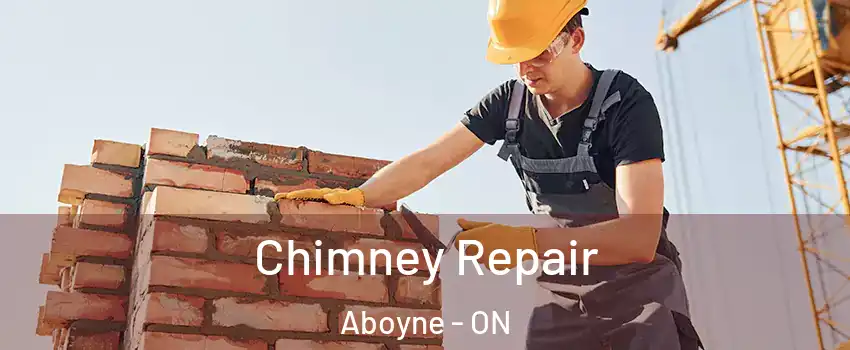  Chimney Repair Aboyne - ON