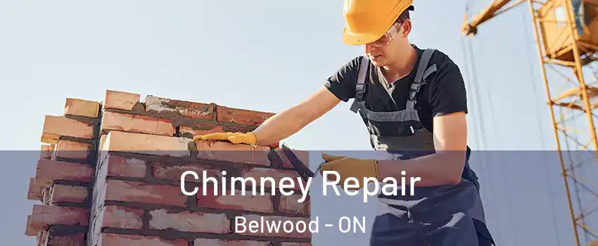  Chimney Repair Belwood - ON