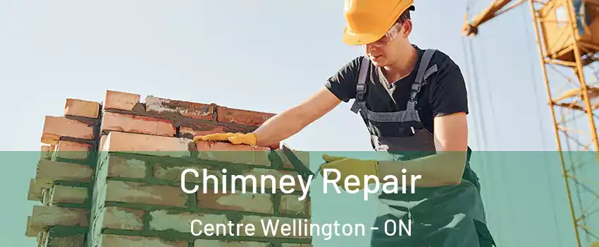  Chimney Repair Centre Wellington - ON