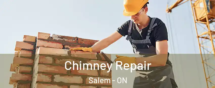  Chimney Repair Salem - ON